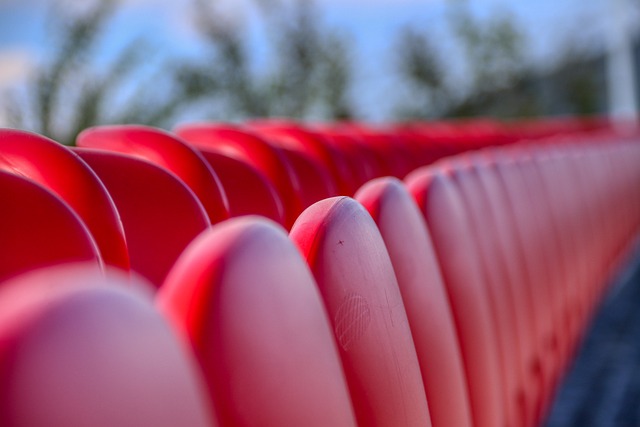 岁的伊埃拉 岁的伊埃拉