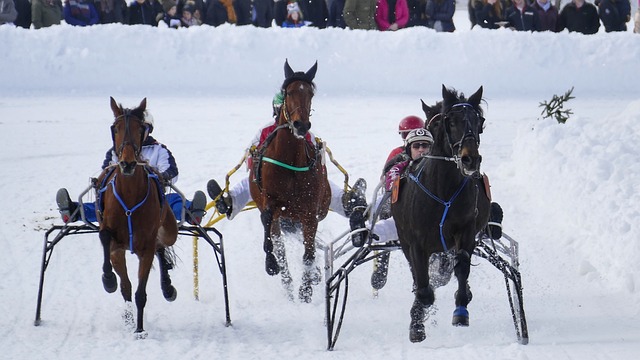 两场比赛中 两场比赛中
