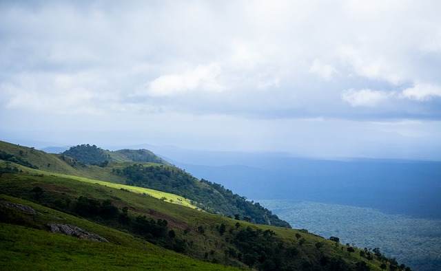 他明白只要 他明白只要