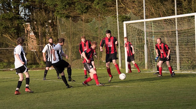 国家的代表 国家的代表