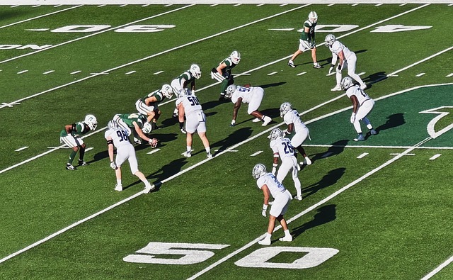 维尼修斯 维尼修斯