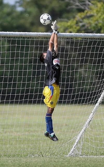 仅是他的职 仅是他的职