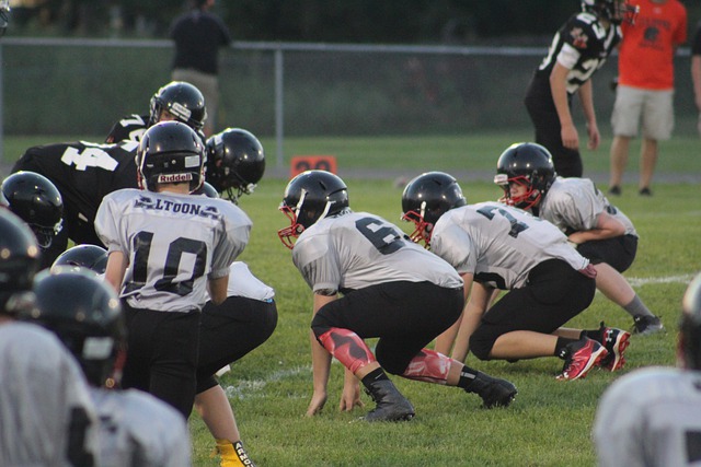 从马德里到 从马德里到