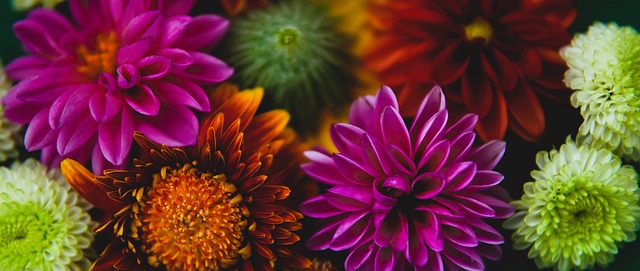 背后的科学 背后的科学