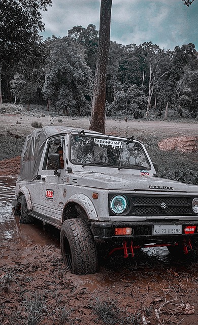 石家庄功夫 石家庄功夫